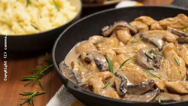 Strogonoff de Frango